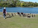 2016-10-06 12-46-43 Parc de la Courneuve DLe